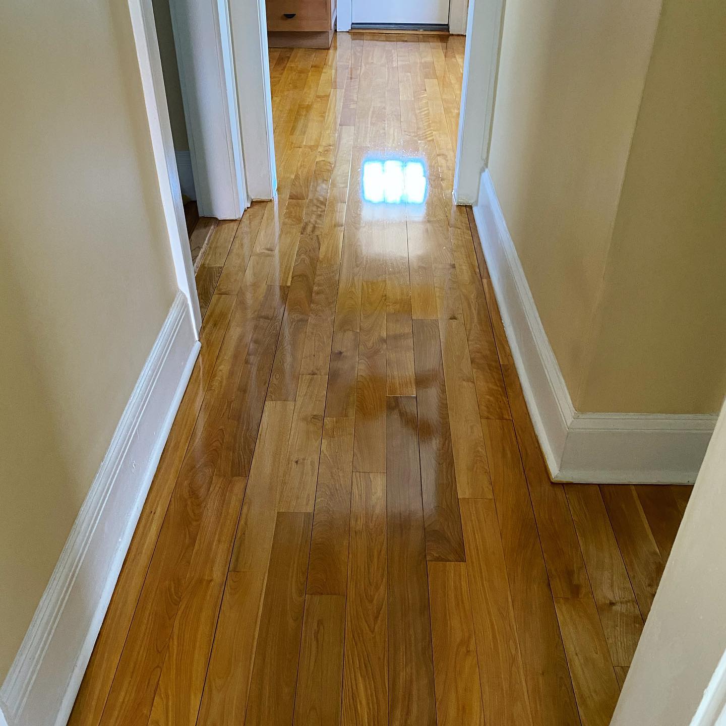 Floor Vision LLC